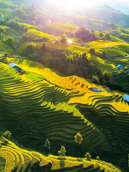 Sản phẩm 414x552 — Vietnam Original Travel - Công Ty TNHH Lữ Hành Cội Nguồn Việt — MST 0102388399