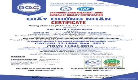 Sản phẩm mau giay organic1 480x280 — Chứng Nhận BQC - Văn Phòng Chứng Nhận Chất Lượng — MST 0102405189