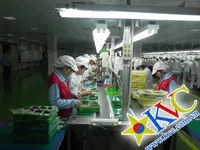 Sản phẩm bang_tai — Băng Tải Hàn Việt - Công Ty Cổ Phần Trung Tâm Hàn Việt — MST 0102547031