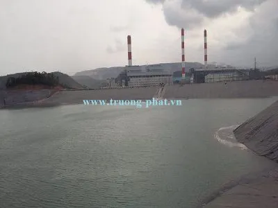 Nhà máy Công Ty Cổ Phần Thương Mại Đầu Tư Trường Phát #1 — MST 0102549938