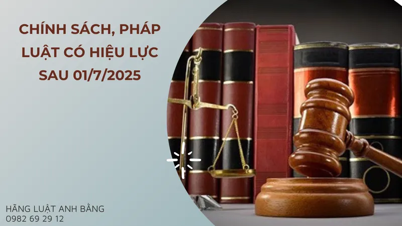 Sản phẩm avt chot — Văn Phòng Luật Sư Anh Bằng Và Liên Danh
Hãng Luật Anh Bằng — MST 0102575800