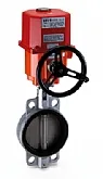 Sản phẩm 202 — Công Ty TNHH Xuất Nhập Khẩu Và Thương Mại Tân Thái Bình — MST 0102626290