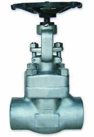 Sản phẩm 391 — Công Ty TNHH Xuất Nhập Khẩu Và Thương Mại Tân Thái Bình — MST 0102626290