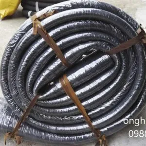 Sản phẩm ong cao su chiu ap 2 300x300 — Công Ty TNHH Thương Mại Và Xuất Nhập Khẩu Nhật Quang — MST 0102671286