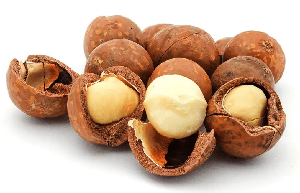 Sản phẩm cach rang hat macca.png — Công Ty Cổ Phần Sản Xuất Thương Mại Và Đầu Tư Hương Việt — MST 0102676862