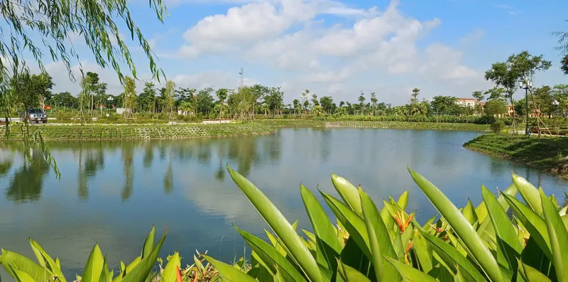 Sản phẩm Ha Nam 1 — Công Ty Cổ Phần Kosy — MST 0102681319