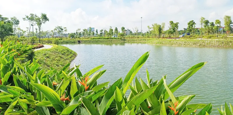 Sản phẩm Ha Nam — Công Ty Cổ Phần Kosy — MST 0102681319