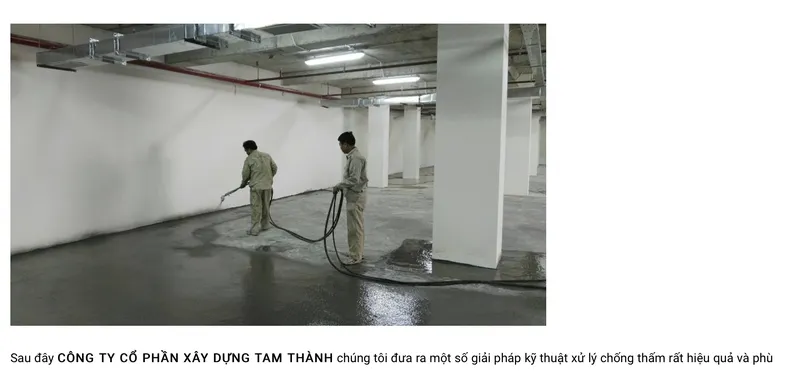 Sản phẩm Chong tham tang ham hieu qua nhat — Công Ty Cổ Phần Xây Dựng Tam Thành — MST 0102697196