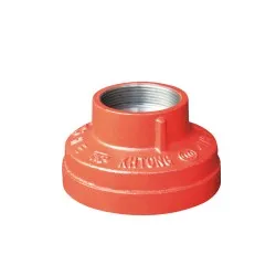 Sản phẩm XGQT07S 螺纹同心异径管 Threaded Concentric Reducer 250x250 — Công Ty Cổ Phần VINACHIN — MST 0102717798