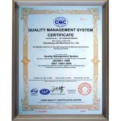 Sản phẩm 9001 Sertificate 826x1024 250x250 — Công Ty Cổ Phần VINACHIN — MST 0102717798