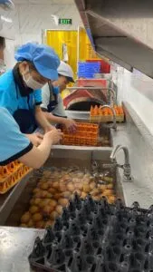 Sản phẩm nhan vien adongfood 20 Medium 169x300 — Công Ty TNHH Dịch Vụ Á Đông — MST 0102728655