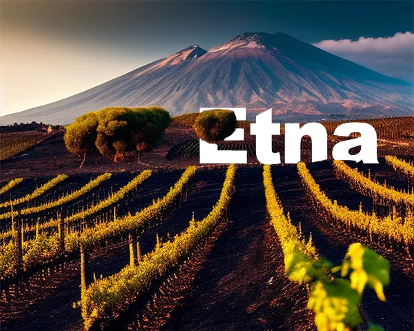 Sản phẩm Etna — Công Ty Cổ Phần Thương Mại Dịch Vụ Và Đầu Tư Quốc Tế ý - Việt — MST 0102751615