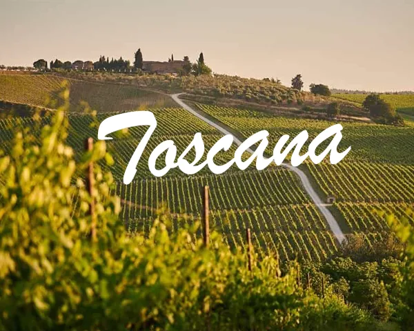 Sản phẩm toscana — Công Ty Cổ Phần Thương Mại Dịch Vụ Và Đầu Tư Quốc Tế ý - Việt — MST 0102751615
