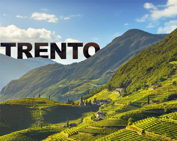 Sản phẩm trento — Công Ty Cổ Phần Thương Mại Dịch Vụ Và Đầu Tư Quốc Tế ý - Việt — MST 0102751615