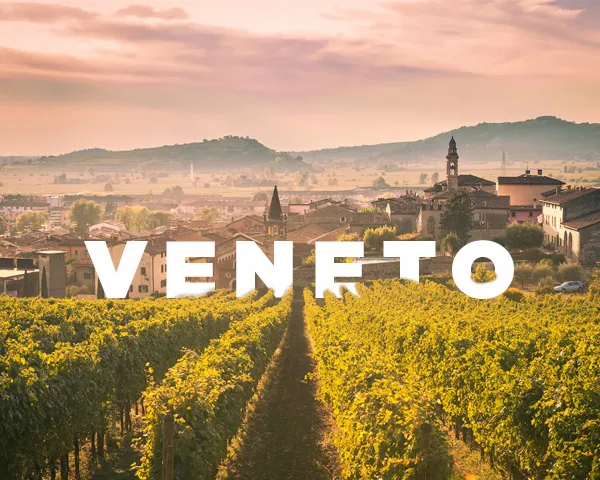 Sản phẩm veneto vung san xuat ruou vang y noi tieng 1 — Công Ty Cổ Phần Thương Mại Dịch Vụ Và Đầu Tư Quốc Tế ý - Việt — MST 0102751615