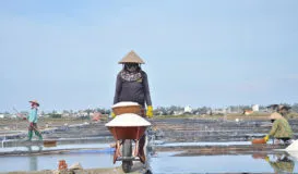 Sản phẩm muoi anh nhu dong 273x160 — Tạp Chí Thủy Sản Việt Nam — MST 0102798966