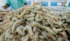 Sản phẩm tom111 273x160 — Tạp Chí Thủy Sản Việt Nam — MST 0102798966