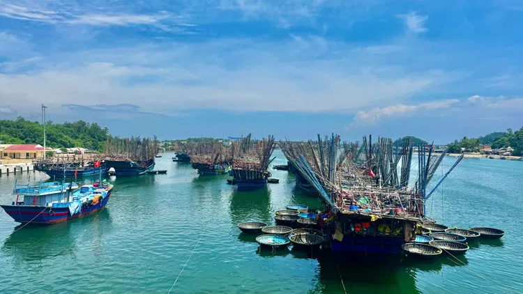 Sản phẩm cau muc — Tạp Chí Thủy Sản Việt Nam — MST 0102798966