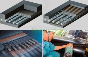 Sản phẩm bang tai loi thep_s1834 — Công Ty TNHH Thương Mại Và Xuất Nhập Khẩu Đài Việt — MST 0102803510