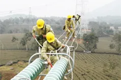 Sản phẩm linh vuc kinh doanh — Điện Thăng Long - Công Ty Cổ Phần Tư Vấn Xây Dựng Điện Thăng Long — MST 0102846578