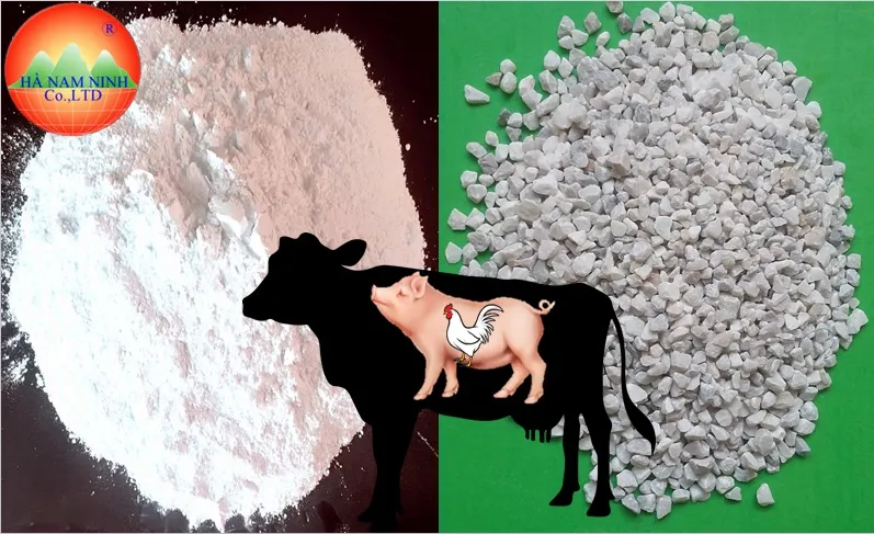 Sản phẩm NGANH THUC AN CHAN NUOI — Bột Đá Hà Nam Ninh - Công Ty TNHH Sản Xuất Và Thương Mại Hà Nam Ninh — MST 0102903931