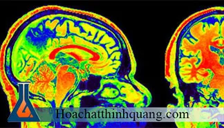 Sản phẩm hoa chat nhuom te bao — Công Ty Cổ Phần Thương Mại Và Sản Xuất Hóa Chất Thiết Bị Thịnh Quang — MST 0102953964