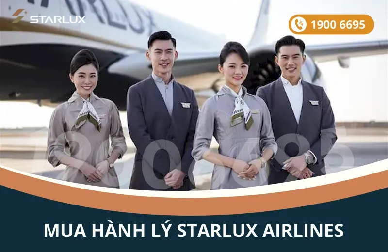 Sản phẩm Mua them hanh ly STARLUX Airlines — Công Ty TNHH TM và DV Khang Vượng — MST 0102967300