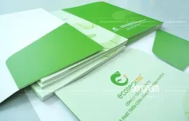 Sản phẩm in kep file tai lieu TDI 1 268x172 90 — Công Ty TNHH Thiết Kế In ấn Đông Nam — MST 0103006116