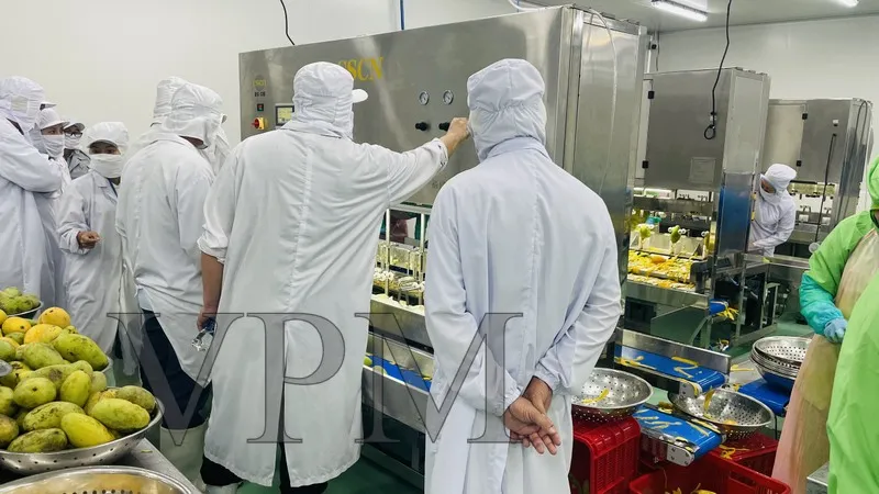 Sản phẩm z4267786735634_80e146edea2b18b11b832b7e53fc76a0 — Công Ty Cổ Phần Công Nghệ Và Thiết Bị VPM — MST 0103415020