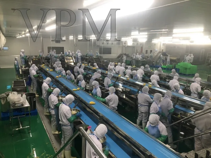 Sản phẩm z4357355994709_cae1c8831ef8994e456580153fe0736d — Công Ty Cổ Phần Công Nghệ Và Thiết Bị VPM — MST 0103415020
