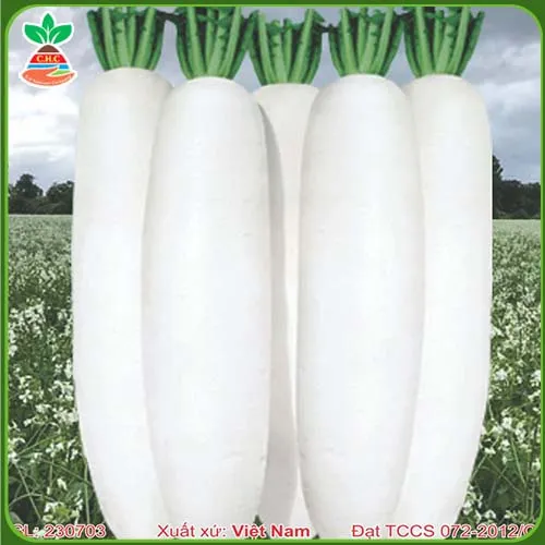 Sản phẩm hat giong rau an cu (9) — Hạt Giống Cây Trồng C.H Việt Nam - Công Ty TNHH C.H Việt Nam — MST 0103417211