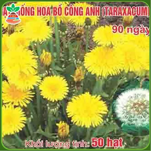 Sản phẩm hat giong hoa (4) — Hạt Giống Cây Trồng C.H Việt Nam - Công Ty TNHH C.H Việt Nam — MST 0103417211