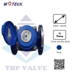 Sản phẩm dong ho do luu luong nuoc thai 3 300x300 — Van Công Nghiệp Tuấn Hưng Phát - Công Ty TNHH Thương Mại Tuấn Hưng Phát — MST 0103463024