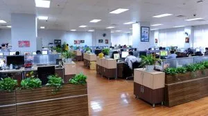 Sản phẩm 1 42 300x167 — Công Ty Cổ Phần Vườn Hoàn Thiện — MST 0103585304