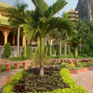 Sản phẩm 1 23 300x300 — Công Ty Cổ Phần Vườn Hoàn Thiện — MST 0103585304