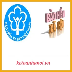 Sản phẩm bao hiem — Công Ty Cổ Phần Tập Đoàn Kế Toán Hà Nội — MST 0103648057