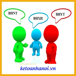 Sản phẩm bao hiem — Công Ty Cổ Phần Tập Đoàn Kế Toán Hà Nội — MST 0103648057
