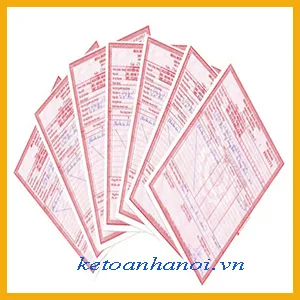 Sản phẩm hoadon — Công Ty Cổ Phần Tập Đoàn Kế Toán Hà Nội — MST 0103648057
