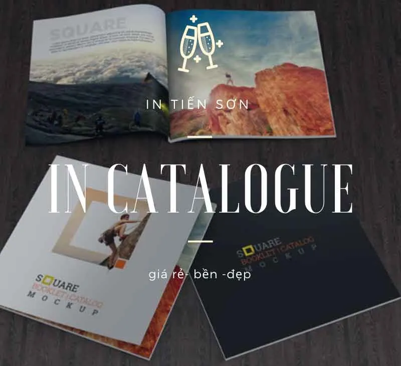 Sản phẩm in catalogue — Công Ty TNHH In Tiến Sơn — MST 0103725417