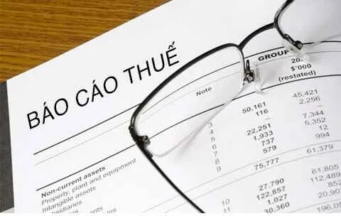 Sản phẩm bao cao thue — Phần Mềm Quản Lý Vetabyte - Công Ty Cổ Phần Truyền Thông Số VDATA — MST 0103766780