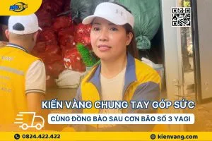 Sản phẩm KienVangChungTaySauBaoYagi 300x200 — Chuyển Nhà Trọn Gói Kiến Vàng Group - Công Ty Cổ Phần Kiến Vàng Group — MST 0103835970