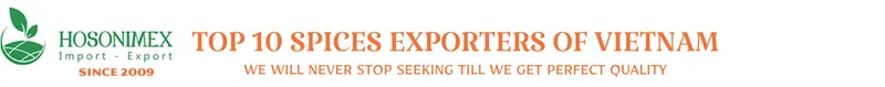 Logo Công Ty Cổ Phần XNK Nông Sản Hồng Sơn Việt Nam