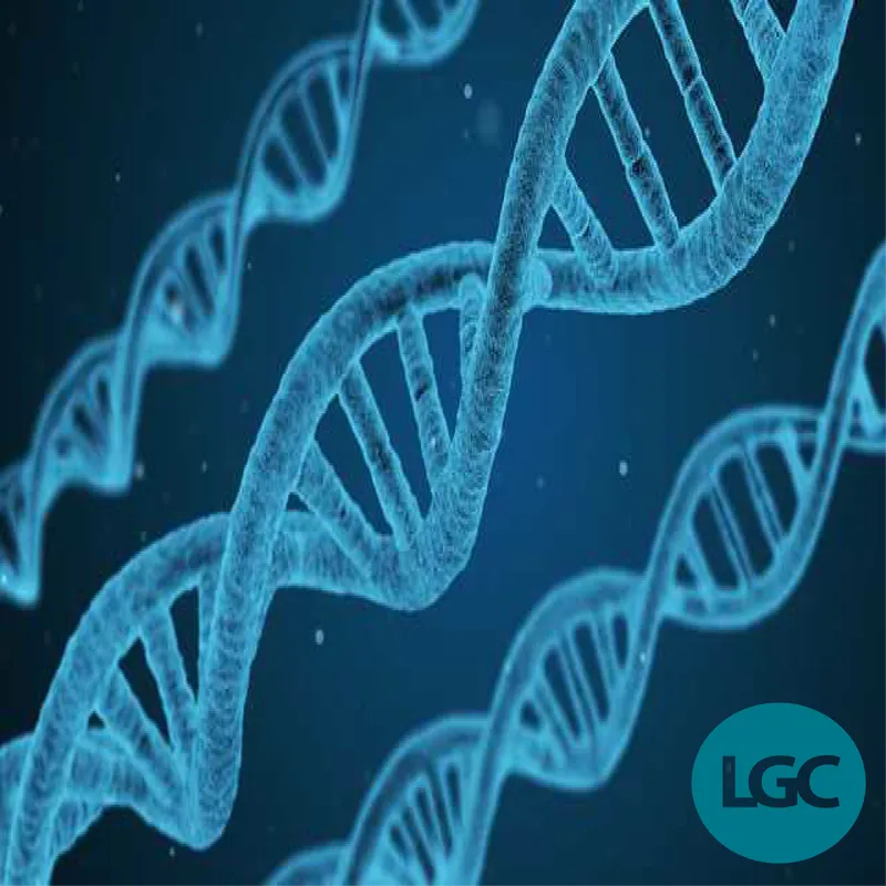 Sản phẩm Genotyping — Công Ty TNHH Thiết Bị Và Dịch Vụ Kỹ Thuật Quốc Tế — MST 0103865301