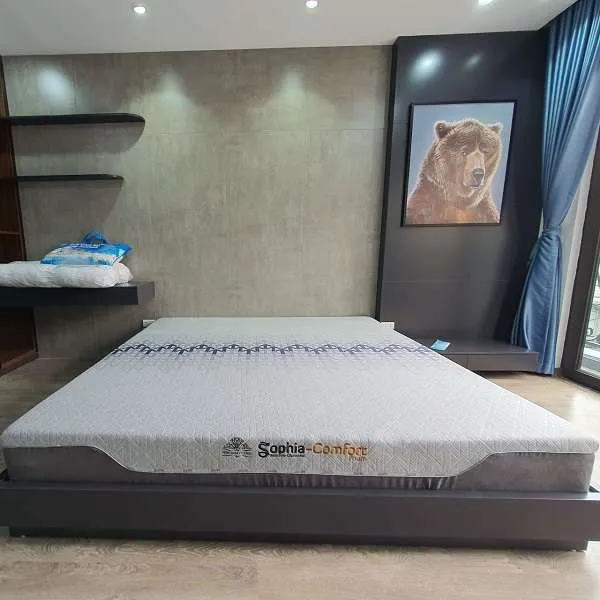 Sản phẩm dem foam sophia comfort 008 — Công Ty Cổ Phần Viethome — MST 0103961333