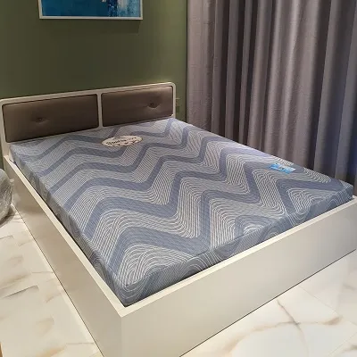 Sản phẩm dem foam massage sophia ivy 0013 — Công Ty Cổ Phần Viethome — MST 0103961333