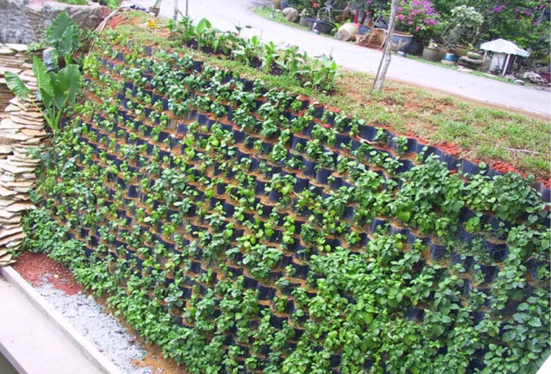 Sản phẩm Ridout Rd Bungalow Earth Retention P4 — Công Ty Cổ Phần Vật Tư Địa Kỹ Thuật Và Hạ Tầng NANOTECH — MST 0103991200