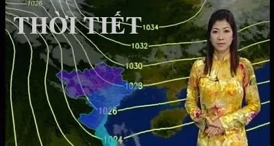 Sản phẩm thoitiet — Công Ty Cổ Phần Thương Mại Dịch Vụ Và Xuất Nhập Khẩu Tân ánh Dương — MST 0104033225