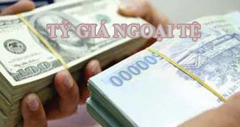 Sản phẩm tygia — Công Ty Cổ Phần Thương Mại Dịch Vụ Và Xuất Nhập Khẩu Tân ánh Dương — MST 0104033225