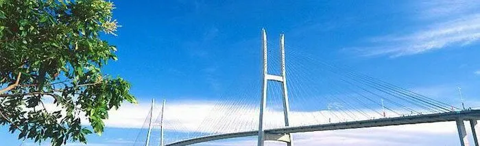 Sản phẩm z5108059609878_95330ac8ef79aff7b10d60b9335aa173 700x214 — Công Ty Cổ Phần Dự ứng Lực Delta — MST 0104040046