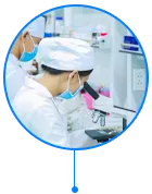 Sản phẩm q7 — Công Ty TNHH Bell Đức — MST 0104075673